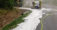 Pożar samochodu na drodze wojewódzkiej - zdjęcie 3