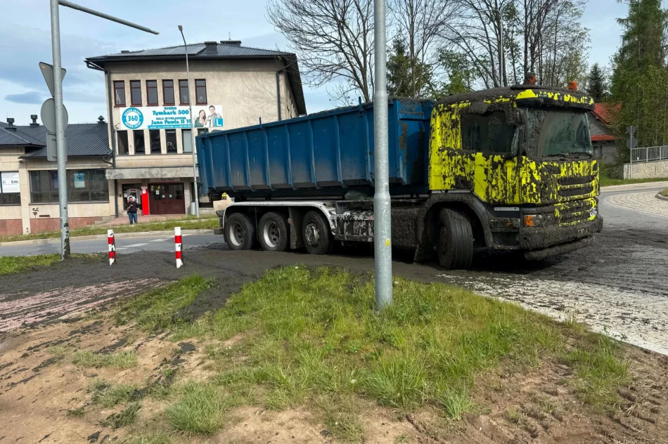 Śmierdzący ładunek wylał się z ciężarówki. Utrudnienia na DK 28 - zdjęcie 5