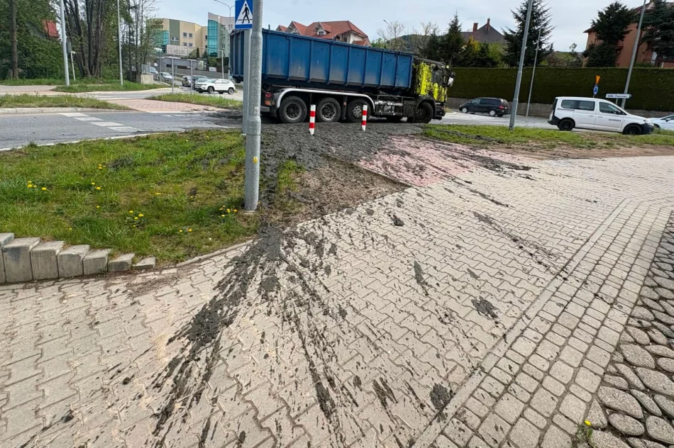 Śmierdzący ładunek wylał się z ciężarówki. Utrudnienia na DK 28 - zdjęcie 8