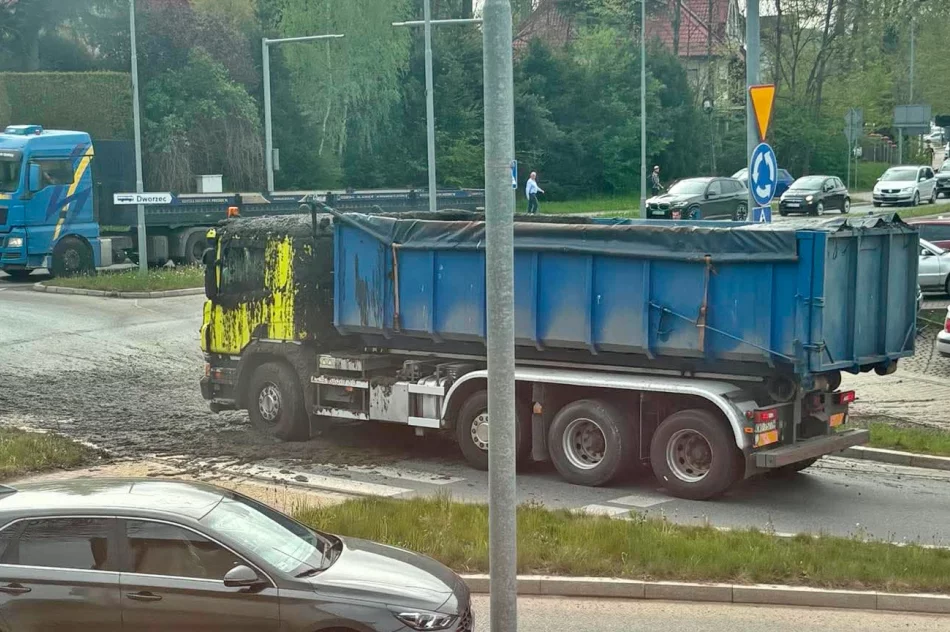 Śmierdzący ładunek wylał się z ciężarówki. Utrudnienia na DK 28 - zdjęcie 12