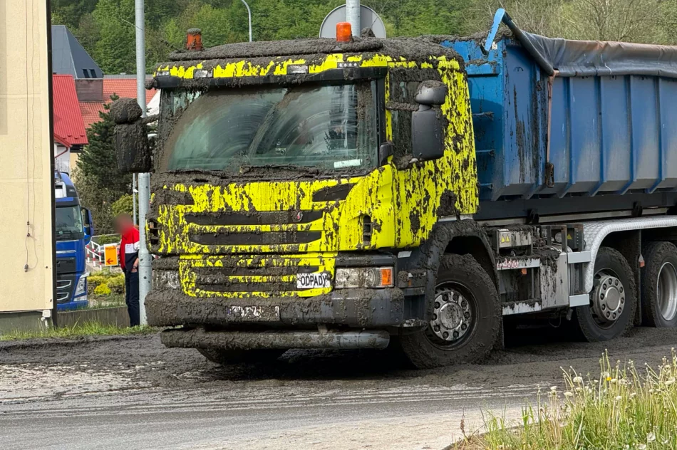 Śmierdzący ładunek wylał się z ciężarówki. Utrudnienia na DK 28 - zdjęcie 15