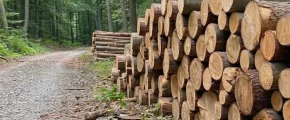 Droga stokowa zamknięta - zdjęcie główne