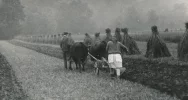 Powstanie ścieżka rolnicza - zdjęcie 2