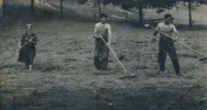 Powstanie ścieżka rolnicza - zdjęcie 3