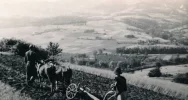 Powstanie ścieżka rolnicza - zdjęcie 4