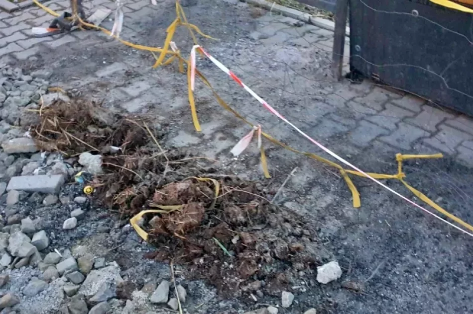 Był gruz, gałęzie i obornik. Po latach protestów wiata i chodnik do rozbiórki  - zdjęcie 14