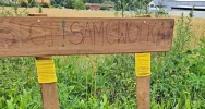 Był gruz, gałęzie i obornik. Po latach protestów wiata i chodnik do rozbiórki  - zdjęcie 5