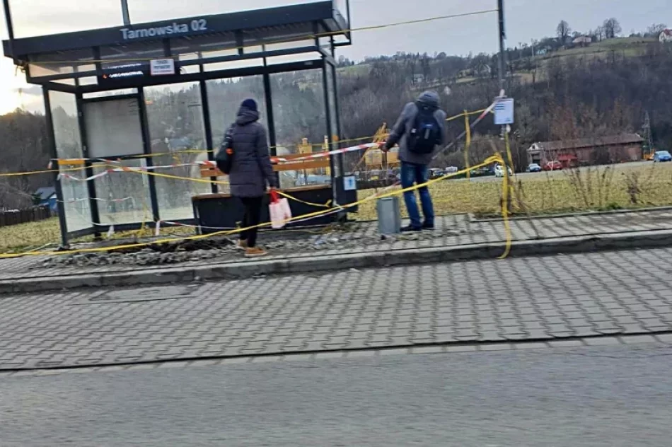Był gruz, gałęzie i obornik. Po latach protestów wiata i chodnik do rozbiórki  - zdjęcie 8