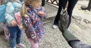 Ekologia od najmłodszych lat  - zdjęcie 3