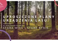 Uproszczone plany urządzenia lasu w miejscowościach Stara Wieś i Stare Rybie - zdjęcie główne