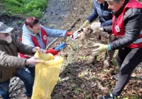 Miasto po wielkim sprzątaniu. Odpady zniknęły z parku, ulic i stadionu - zdjęcie główne