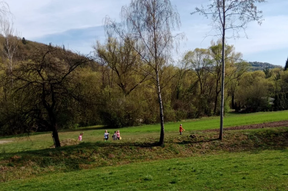 Miasto po wielkim sprzątaniu. Odpady zniknęły z parku, ulic i stadionu - zdjęcie 19