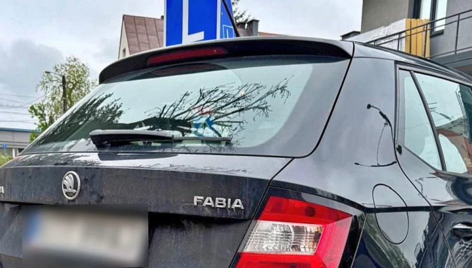Kolizja z "L-ką" i ucieczka. Pijanego kierowcę namierzył policjant po służbie - zdjęcie 1