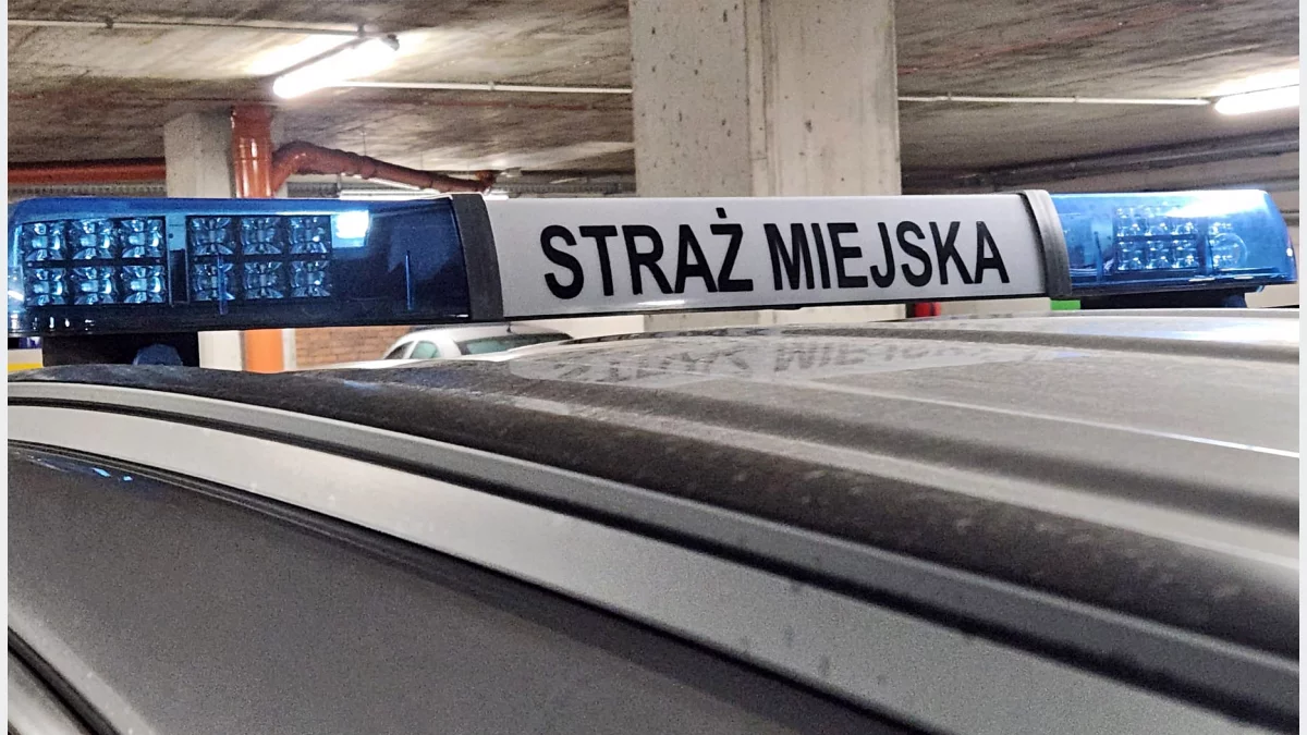 Problem z dzikimi wysypiskami rozwiązany dzięki kamerom