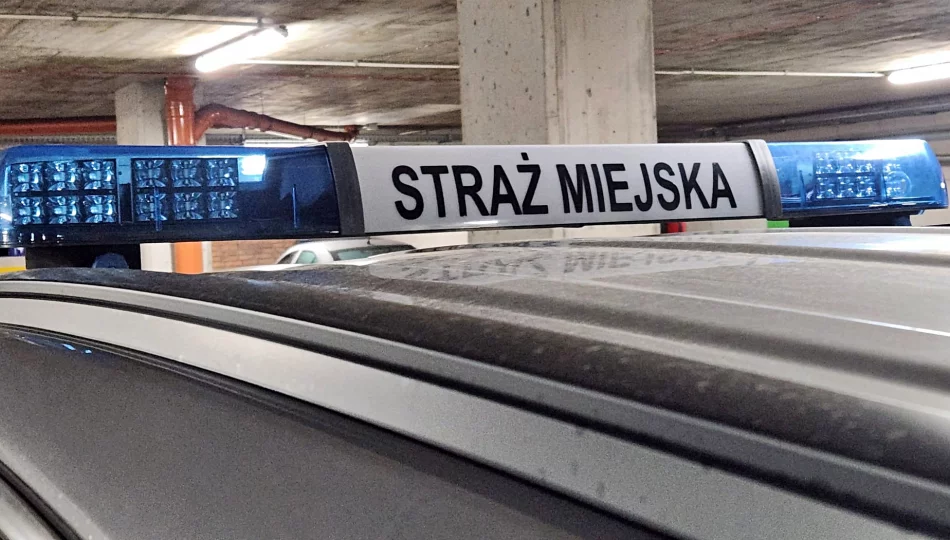 Problem z dzikimi wysypiskami rozwiązany dzięki kamerom - zdjęcie 1
