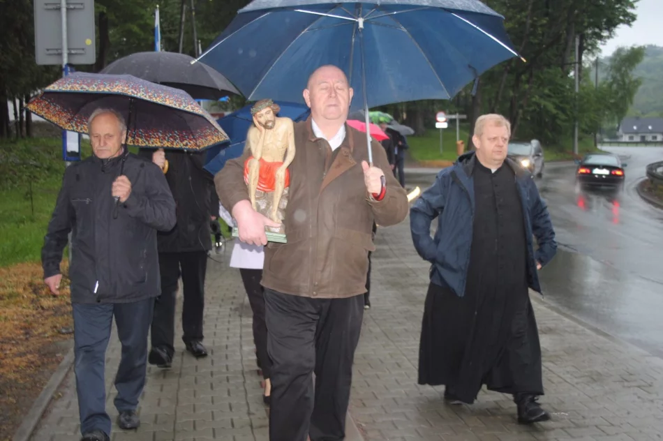 Frasobliwy wrócił na stary dąb - zdjęcie 3