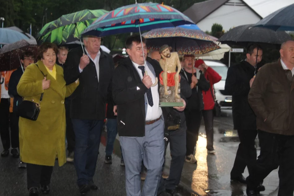 Frasobliwy wrócił na stary dąb - zdjęcie 4