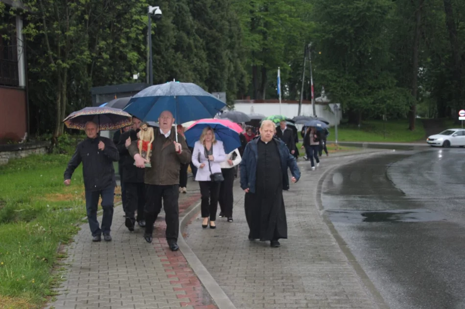 Frasobliwy wrócił na stary dąb - zdjęcie 7