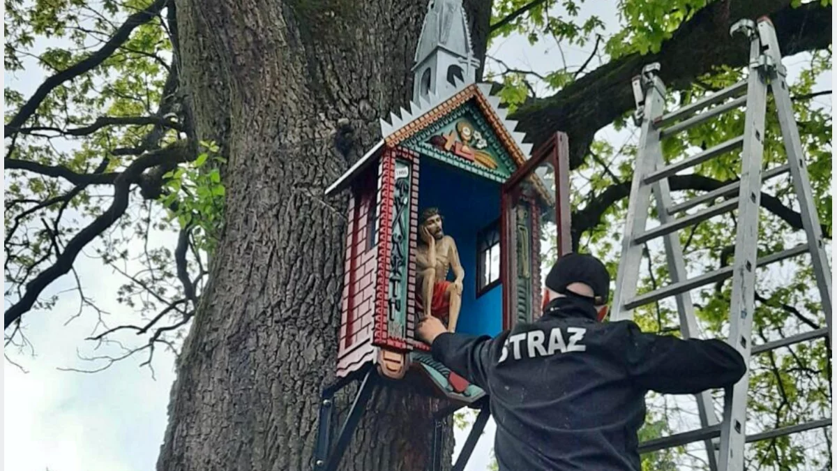 Drewniana, zabytkowa kapliczka z figurą Chrystusa Frasobliwego zamontowana na pniu starego dębu.