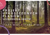 Projekt uproszczonych planów urządzenia lasów w miejscowościach Stara Wieś i Stare Rybie - zdjęcie główne