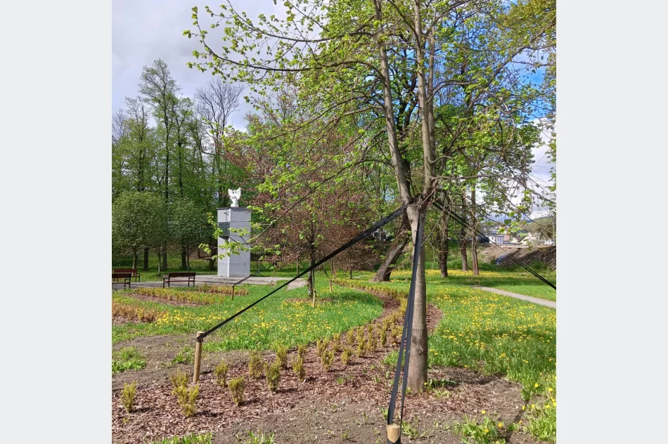 Kolejne pieniądze na zabytkowy park - zdjęcie 7