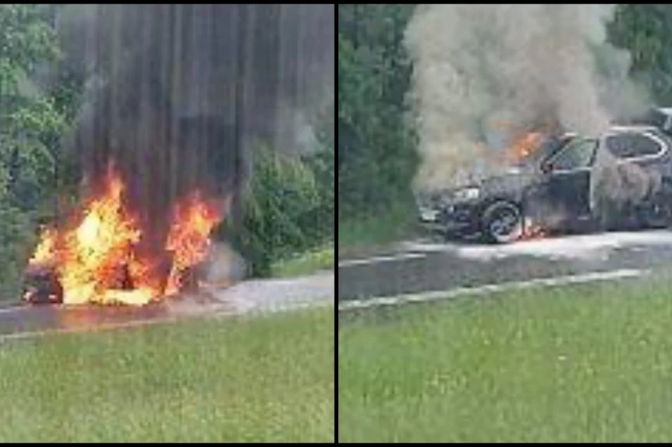Pożar osobówki na drodze krajowej nr 28 - zdjęcie 3