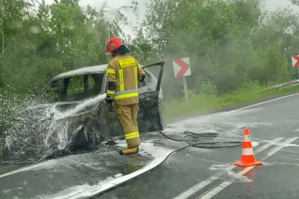 Pożar osobówki na drodze krajowej nr 28 - zdjęcie 2