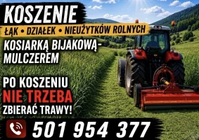 Koszenie działek, łąk, nieużytków kosiarką bijakową- mulczerem - Zdjęcie główne