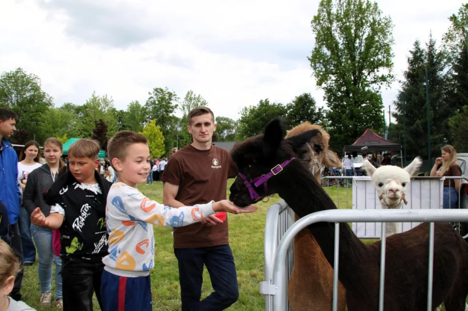 Międzynarodowe występy na rodzinnym pikniku (ZDJĘCIA) - zdjęcie 18