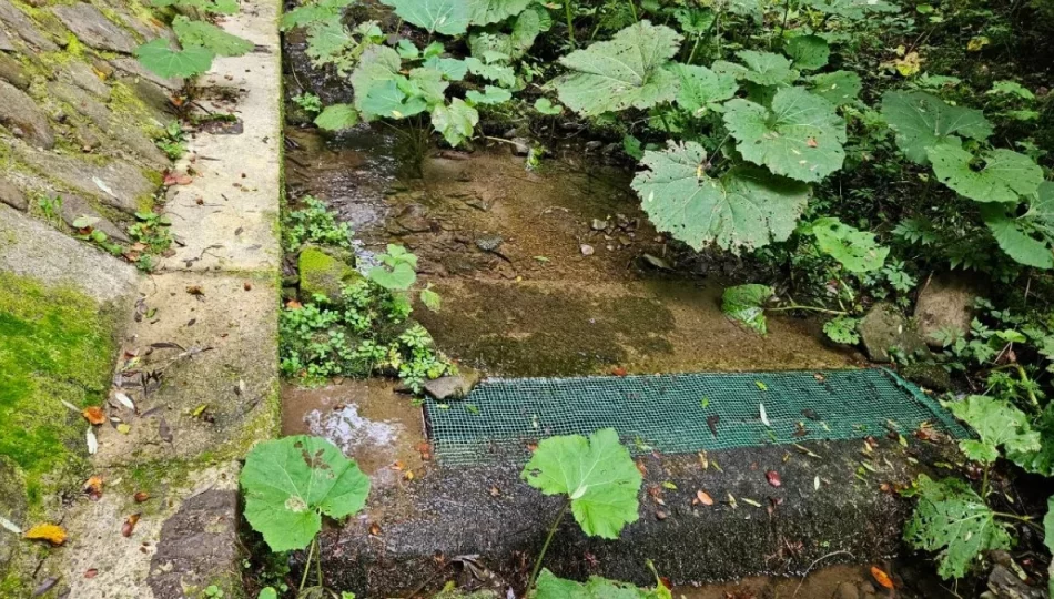 Susza w mieście. ZGK apeluje o oszczędzanie wody - zdjęcie 1