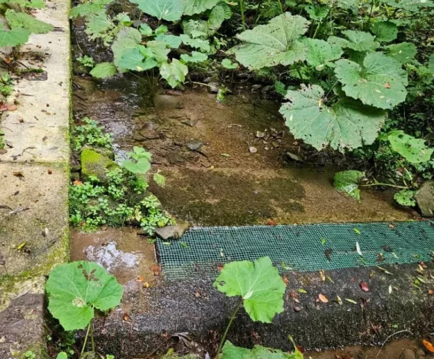 Susza w mieście. ZGK apeluje o oszczędzanie wody - zdjęcie główne