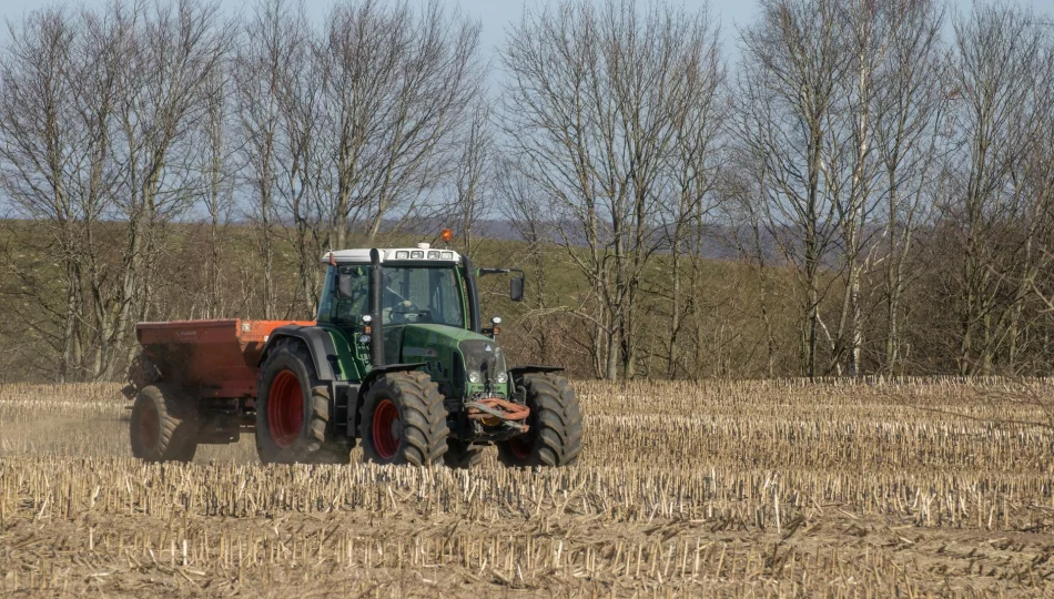 Ogród dobrze odżywiony, czyli dlaczego rośliny potrzebują więcej niż podlewania - zdjęcie 1