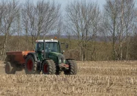 Ogród dobrze odżywiony, czyli dlaczego rośliny potrzebują więcej niż podlewania - zdjęcie główne