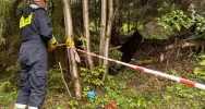 Katastrofa śmigłowca. Odnaleziono wrak maszyny i ciało pilota - zdjęcie 4