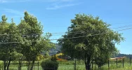 Wypadek traktorzysty, wezwano LPR - zdjęcie 3