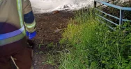Wracają nocne “ogniska” w pobliżu osiedla. Strażacy znów gasili odpady i elektrośmieci - zdjęcie 4