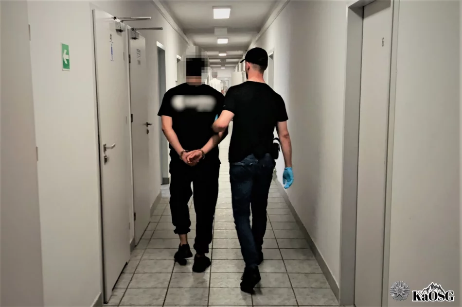 13 cudzoziemców z fałszywymi zezwoleniami na pracę - zdjęcie 3