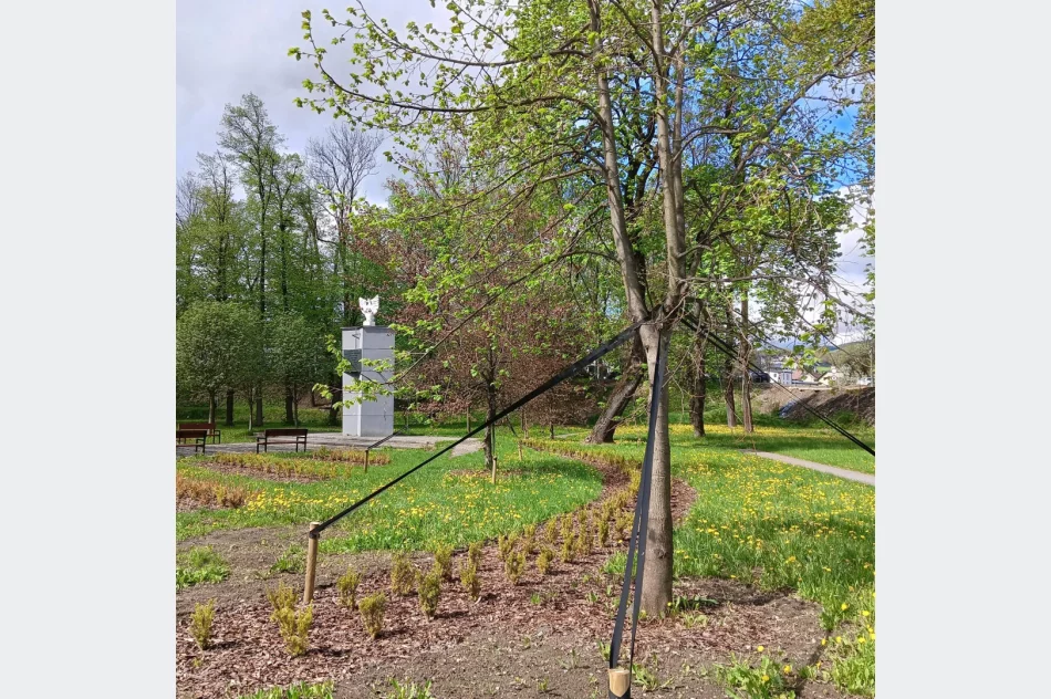 Tak ma się zmienić park - zdjęcie 10