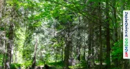 Goście z Domostawy i Zarzecza w Zagórzańskich Dziedzinach - zdjęcie 5