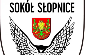 Sokół Słopnice: spadek z V ligi - Zdjęcie główne