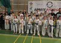 34 medale, Mistrz Europy i sukcesy na arenie krajowej oraz międzynarodowej zawodników Limanowskiego Klubu Kyokushin Karate - zdjęcie główne